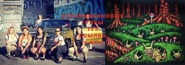 не бодяженный Козельск