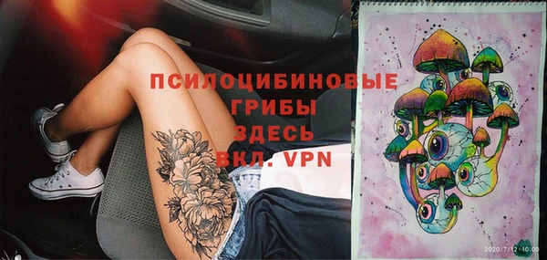 прущий лед Кодинск