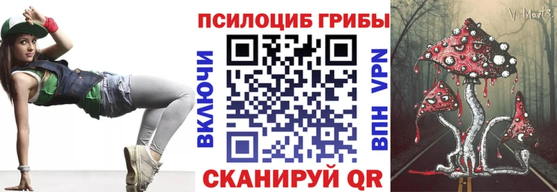 Псилоцибиновые грибы мицелий  Купить где  Заречный 